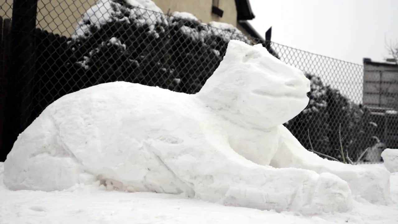 Rzeźba ze śniegu w Łodzi: Najpiękniejsze przykłady i lokalizacje