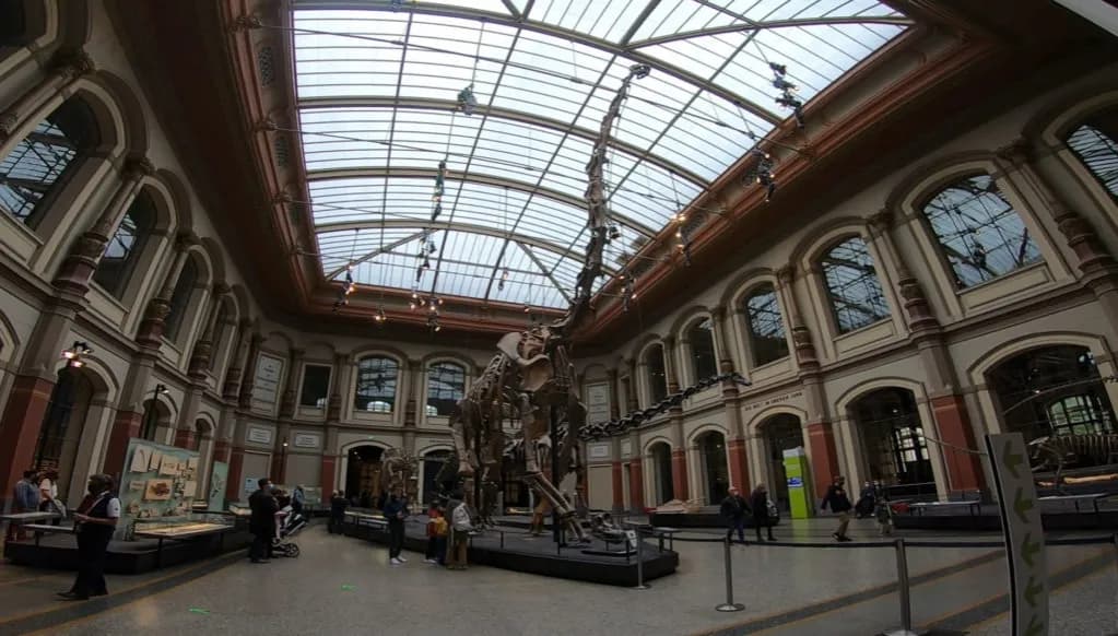 Muzeum Sztuki Naturalnej w Berlinie: co warto wiedzieć przed wizytą?
