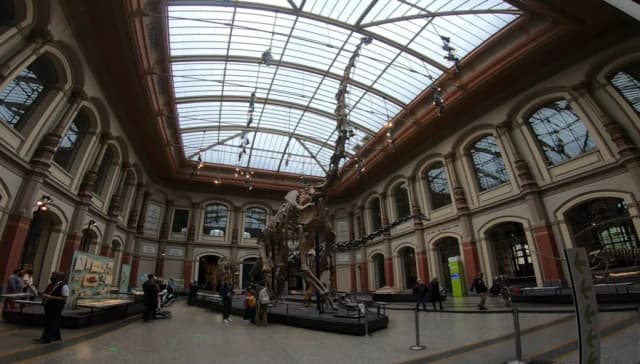 Muzeum Sztuki Naturalnej w Berlinie: co warto wiedzieć przed wizytą?